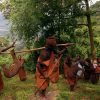 THE BATWA